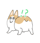 愛犬のコーギースタンプ（個別スタンプ：11）