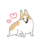 愛犬のコーギースタンプ（個別スタンプ：12）