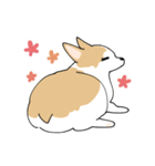 愛犬のコーギースタンプ（個別スタンプ：13）