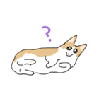 愛犬のコーギースタンプ（個別スタンプ：14）
