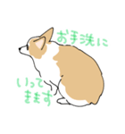 愛犬のコーギースタンプ（個別スタンプ：15）