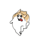 愛犬のコーギースタンプ（個別スタンプ：16）