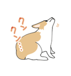 愛犬のコーギースタンプ（個別スタンプ：17）