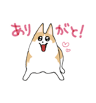 愛犬のコーギースタンプ（個別スタンプ：18）