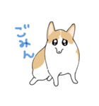 愛犬のコーギースタンプ（個別スタンプ：19）