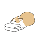 愛犬のコーギースタンプ（個別スタンプ：20）