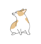 愛犬のコーギースタンプ（個別スタンプ：22）