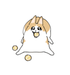 愛犬のコーギースタンプ（個別スタンプ：23）