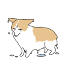 愛犬のコーギースタンプ（個別スタンプ：26）