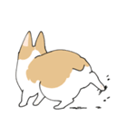 愛犬のコーギースタンプ（個別スタンプ：28）