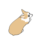 愛犬のコーギースタンプ（個別スタンプ：29）