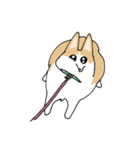 愛犬のコーギースタンプ（個別スタンプ：30）