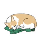 愛犬のコーギースタンプ（個別スタンプ：32）