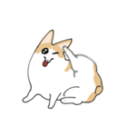 愛犬のコーギースタンプ（個別スタンプ：33）