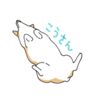 愛犬のコーギースタンプ（個別スタンプ：35）