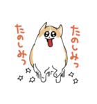 愛犬のコーギースタンプ（個別スタンプ：36）