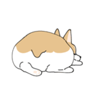 愛犬のコーギースタンプ（個別スタンプ：39）