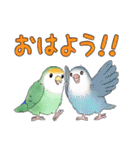 コザクラインコピノとその仲間たちスタンプ（個別スタンプ：1）