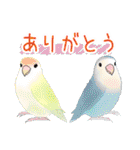 コザクラインコピノとその仲間たちスタンプ（個別スタンプ：14）