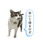 ゼロココ2（個別スタンプ：1）