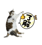 ゼロココ2（個別スタンプ：4）