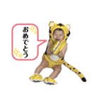 豪真☀️（個別スタンプ：12）