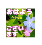 「おはよう」 に 牧野公園の山野草を添えて（個別スタンプ：22）