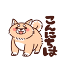 ぽっちゃり柴犬K（個別スタンプ：8）