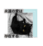 黒猫 ルナ院長68にゃんめ（個別スタンプ：2）