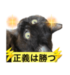 黒猫 ルナ院長68にゃんめ（個別スタンプ：8）