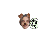 K.D.7.7（個別スタンプ：5）