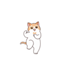 踊る猫トミー（個別スタンプ：16）