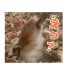 =おもちちゃん=（個別スタンプ：2）