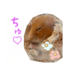 =おもちちゃん=（個別スタンプ：5）