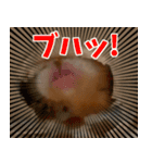 =おもちちゃん=（個別スタンプ：6）