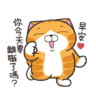ランラン猫 44 (台湾版)（個別スタンプ：1）