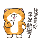 ランラン猫 44 (台湾版)（個別スタンプ：2）