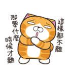 ランラン猫 44 (台湾版)（個別スタンプ：3）