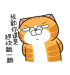 ランラン猫 44 (台湾版)（個別スタンプ：4）