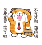 ランラン猫 44 (台湾版)（個別スタンプ：8）
