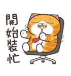 ランラン猫 44 (台湾版)（個別スタンプ：16）