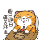 ランラン猫 44 (台湾版)（個別スタンプ：22）