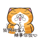 ランラン猫 44 (台湾版)（個別スタンプ：27）