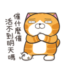 ランラン猫 44 (台湾版)（個別スタンプ：28）