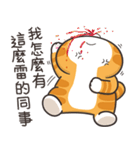 ランラン猫 44 (台湾版)（個別スタンプ：30）