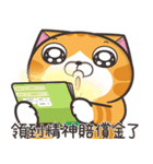 ランラン猫 44 (台湾版)（個別スタンプ：31）