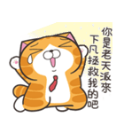 ランラン猫 44 (台湾版)（個別スタンプ：39）