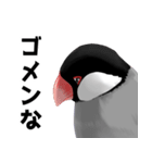 「中に人間入ってる？」使いやすい文鳥（個別スタンプ：4）