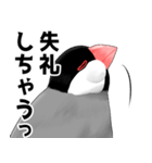 「中に人間入ってる？」使いやすい文鳥（個別スタンプ：8）