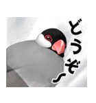 「中に人間入ってる？」使いやすい文鳥（個別スタンプ：16）